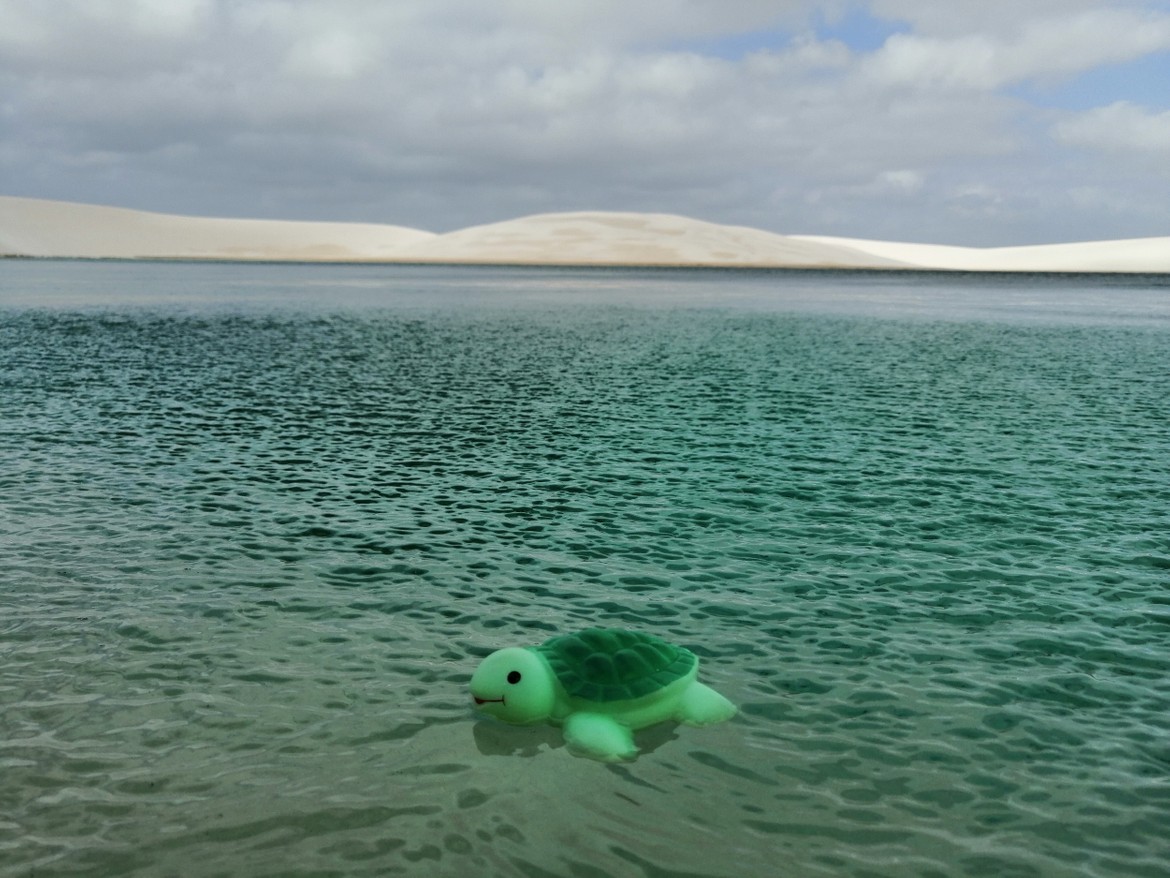 My highlight in the dunes, swimming in solitude in the fresh and blue water of the lagoons in Lençóis Maranhenses